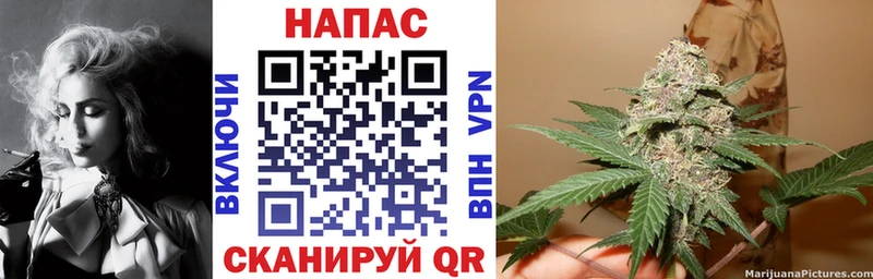 Магазины продажи наркотиков Городовиковск Кокаин Меф Бутират ГАШИШ Alpha PVP