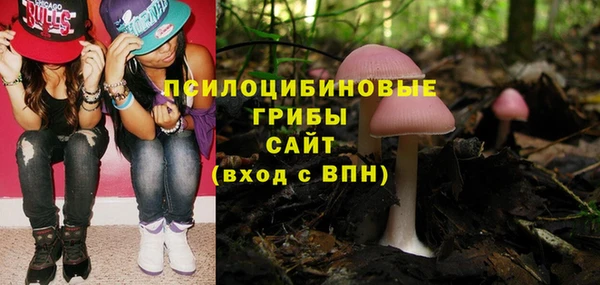 a pvp Богородицк