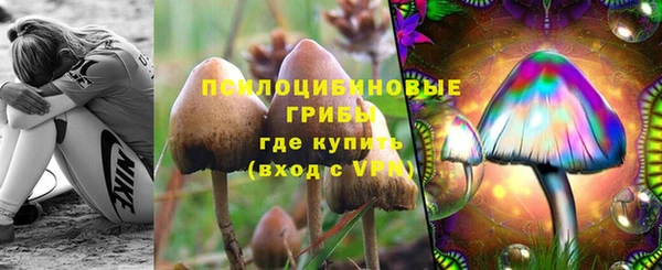соль ск Бронницы