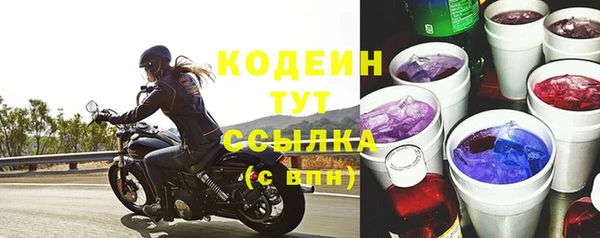 стафф Бородино