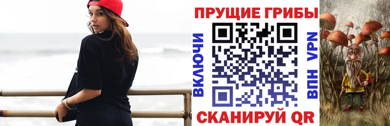 Галлюциногенные грибы прущие грибы  Городовиковск 